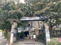 이게 아직도 있네? 민들레 영토, 들어는 보았는가[쩝쩝박사]