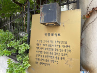이게 아직도 있네? 민들레 영토, 들어는 보았는가[쩝쩝박사]