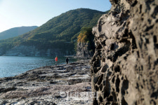 산·숲·해안에서 상큼한 유자향과 곱게 물든 단풍길을 걷다[여행]