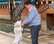 文의 풍산개, 동물병원으로… 김기현 “정말 쿨하게 버리신다”