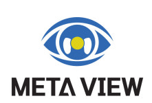 메타뷰, 첫 작품 웹툰 무신제국사 공개 예정