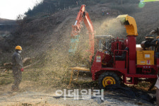 충남 아산 송악면서 소나무 재선충병 감염 확인