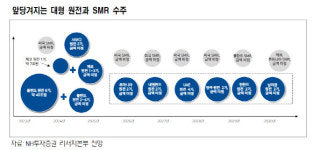 (주)풀무원푸드앤컬처 두산에너빌리티원자력식당 | 두산에너빌리티, 대형원전·SMR 수주 확대…목표가↑-NH