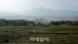 [여행]단풍 물러선 자리, 웅장한 자태 드러낸 바위산을 오르다
