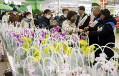 [포토] 하나로마트 양재점, 사랑의 꽃 나눔 행사