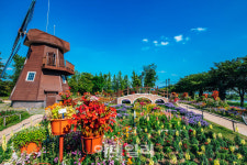 순천만국가정원·우영우·손흥민 한국관광의 ★ 되다.