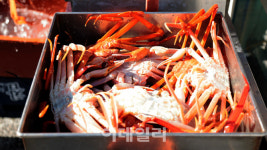 [미식로드] 울진 겨울 바다가 내놓은 풍요로운 식탁