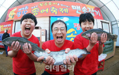 평창송어축제, 개막 10일 만에 12만명 돌파