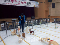 연휴 앞, 벌써 애견호텔·쉼터 예약 끝…“우리 댕댕이 어쩌죠?”