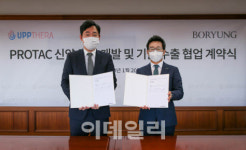 업테라, 보령과 다발성골수종 치료제 공동연구개발