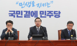 민주당 