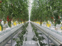 용인특례시 스마트 친환경농업사업 기반 구축 100억원 투입