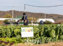‘서울농부’들의 텃밭대전…“땅 좀 빌려주세요”