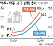 담뱃세처럼…맥주·탁주세 인상때 국민 반발 우려