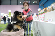 [포토]간식 먹는 강아지