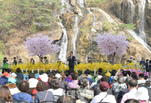 [포토] 서대문 안산 봄빛축제