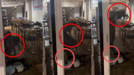 제주서 반려견 내려친 50대 입건…“과로에 술먹고 이성 잃어”