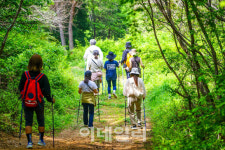 갱년기여성, 병원 아닌 자연으로…‘보물섬’ 남해 어때요?