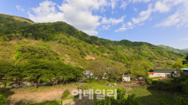 하동 차밭과 토지…시간은 천천히 흐른다