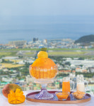 제주 드림타워 복합리조트, 애플망고 빙수·애프터눈티 세트 출시