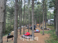 올 여름엔 숲속 국립자연휴양림으로 휴가 가볼까