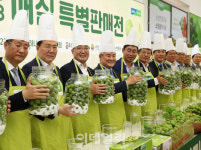 [포토] 매실 특별 판매전