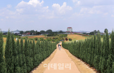 [포토] 농협안성팜랜드 썸머플라워 축제