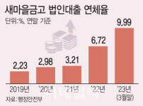 새마을공동소득장 | [단독]'공동대출' 연체율 20% 육박…새마을금고 부실 공포