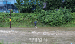 [포토]폭우로 침수된 탄천 산책로