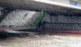 [포토]불어난 탄천으로 막혀버린 자전거 길