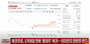 에코프로, 3거래일 만에 황제주 복귀...이차전지주 반등