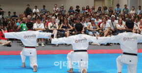 [포토]태권도의 또 다른 매력에 빠진 스위스 스카우트 대원들