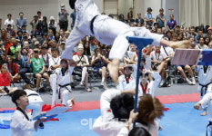 [포토]스위스 스카우트 대원들, 태권도 화려한 발차기에 환호성