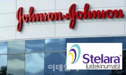 스텔라라 시밀러 특허갈등 소멸..셀트·동아ST 이상無