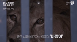 청주동물원 마스코트 바람이, 유튜브 스타됐다(영상)