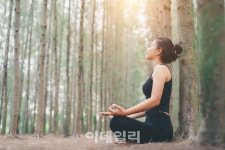 [포토] 명절엔 힐링 스테이 패키지