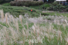 [포토]가을이 왔어요