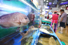 [포토]추석 앞두고 수산대축제