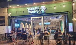 요거트판다, 아이스크림 카페 프랜차이즈 론칭