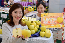 [포토] 황금 사과를 아시나요?