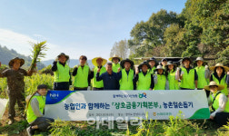 [포토] 농협 상호금융기획본부, 농촌일손돕기