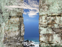 세상은 모르던 커넥션…가슴 먹먹한 관계였다 [e갤러리]