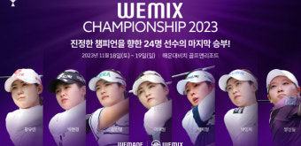 여자골프 왕중왕전 위믹스 챔피언십, 위믹스 포인트로 와일드카드 결정