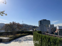 남산을 한눈에 신세계남산 5층 테라스 남산 무료 개방[동네방네]