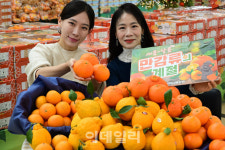 [포토] 12월 1일 감귤데이