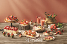 [포토] 서울드래곤시티, 딸기 스튜디오 운영