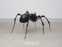 이수미 展, 성황리에 12월 10일까지 연장