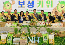 [포토] 농협유통, 보성 참다래 30% 할인판매