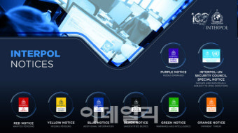 특허청·경찰청, 디자인침해 사범에 인터폴 보라색 수배