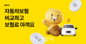 카카오페이 “모든 자동차보험 한눈에 비교하세요”